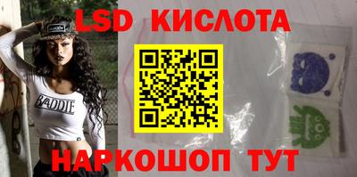 шишки Камышлов