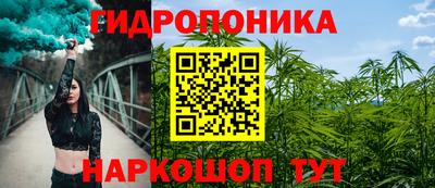 ALPHA PVP Канаш