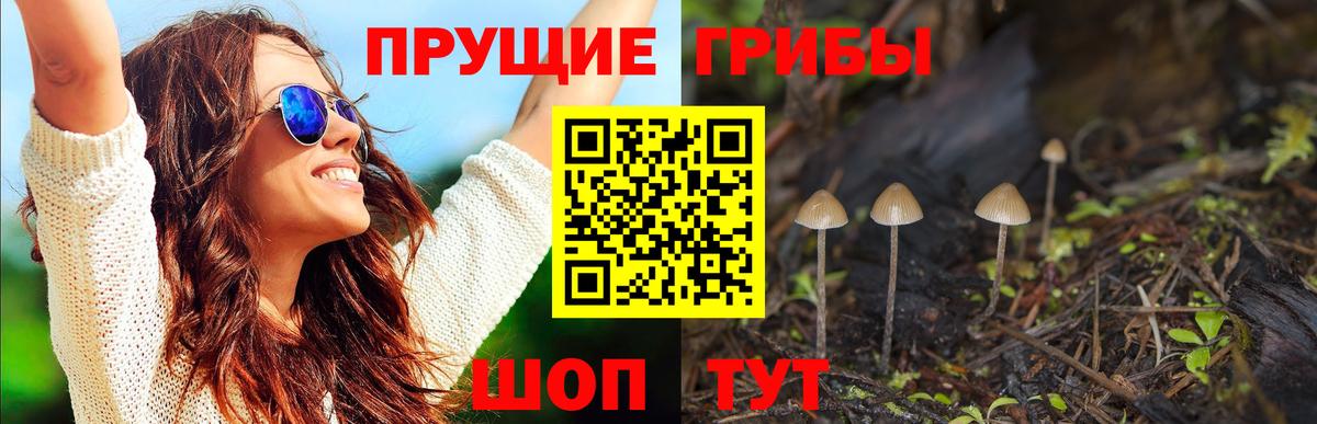 Галлюциногенные грибы ЛСД  Вход с VPN  как найти закладки  Кудрово 